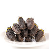 AG海朴藏珑干海参100g（发制率12-15倍） 商品缩略图3