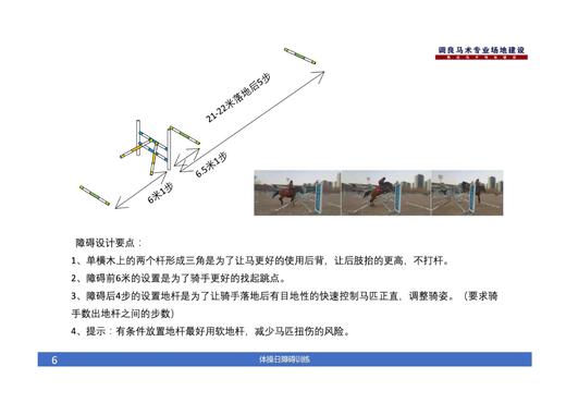 天星调良马术障碍训练卡片 商品图6