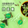mideer弥鹿阳光房种植花房儿童玩具手工diy科学小实验套装观察盒 商品缩略图2