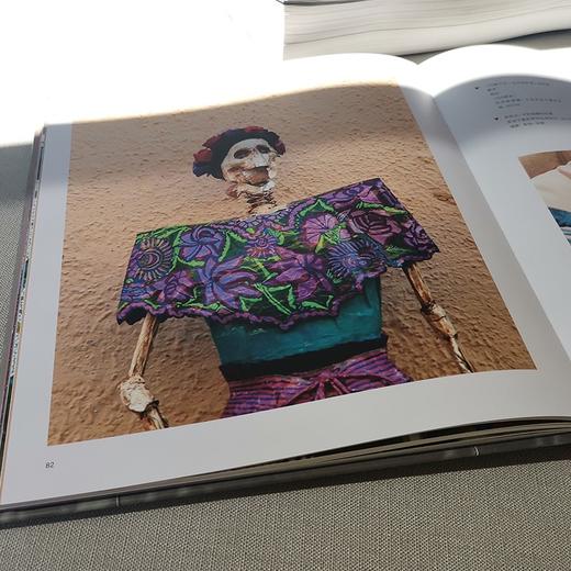 (仓发) 爱上弗里达/上海人民美术出版社/[德]戈比•弗伦格/9787558617157 商品图4