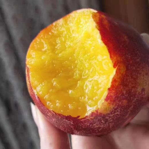 山东蒙阴油桃5斤 商品图3