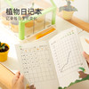 mideer弥鹿阳光房种植花房儿童玩具手工diy科学小实验套装观察盒 商品缩略图4
