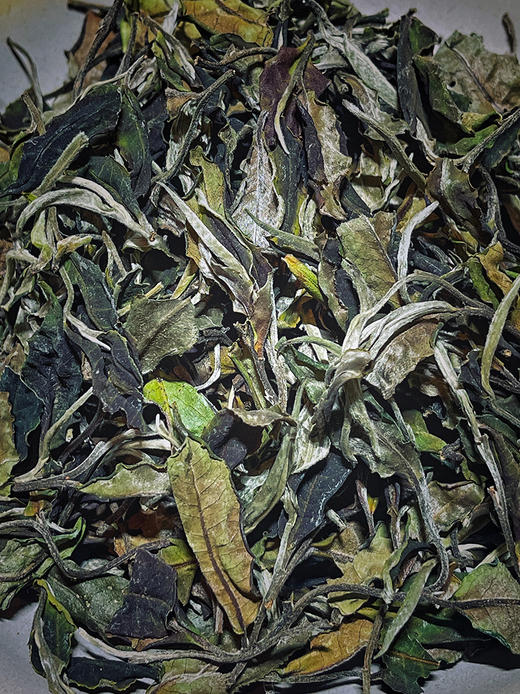 彩农茶·龙藏｜2022头春，布朗核心区古树纯料白茶 商品图3