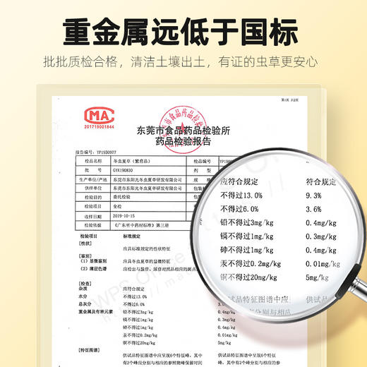 【杞里香冬虫夏草断草5g】东虫草茶干货无礼盒装高性价比（断草） 商品图3