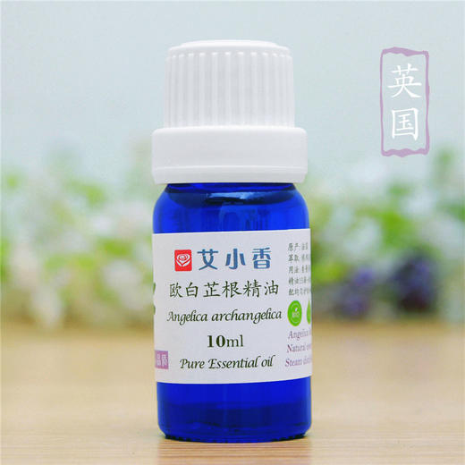 欧白芷根精油英国产