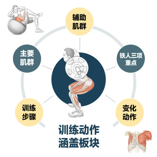 铁人三项运动解剖学 *彩图解第2版 商品图2