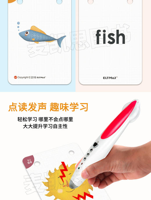 【麦凯思图书】EFL PHONICS 配套学生卡片 商品图2