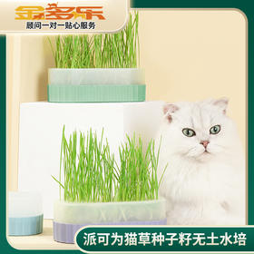 派可为猫草种子籽无土水培懒人盆栽成幼猫咪薄荷零食用品
