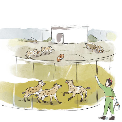 《我是超级饲养员》（共2辑全7册）注音版 商品图4