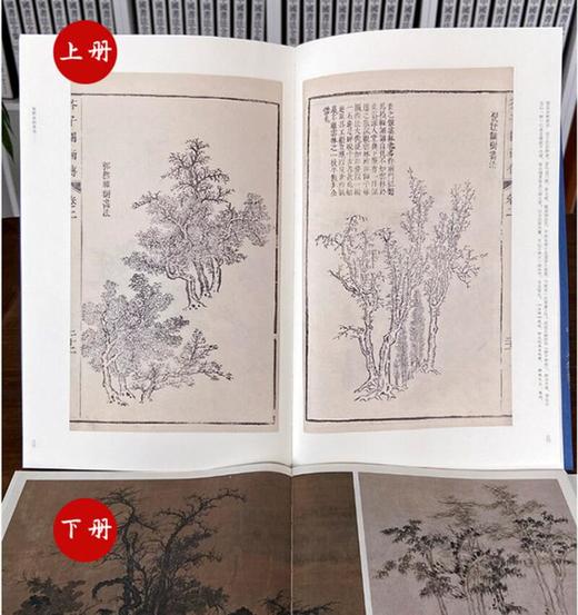 (仓发) 历代名画解读 康熙原版芥子园画传·树法（上、下册）/江西美术出版社/李渔/9787548077848 商品图4