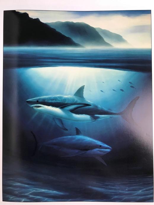 签名本！“北京奥运特使”环保艺术家怀兰作品集 约百余幅插图 精装大16开 商品图14