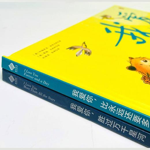 我爱你(比永远还要多一天+胜过万千星河+因为我爱你) 商品图2
