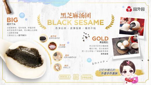 园外园 汤圆 一盒9只 黑芝麻/荠菜肉/鲜肉/萝卜丝/红小豆 商品图6