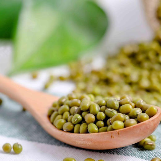 肥叔绿豆冰沙 沙感十足 配料干净喝出健康清爽 商品图2