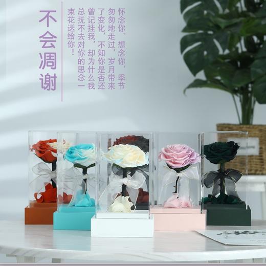 小王子拼色花盒 商品图0