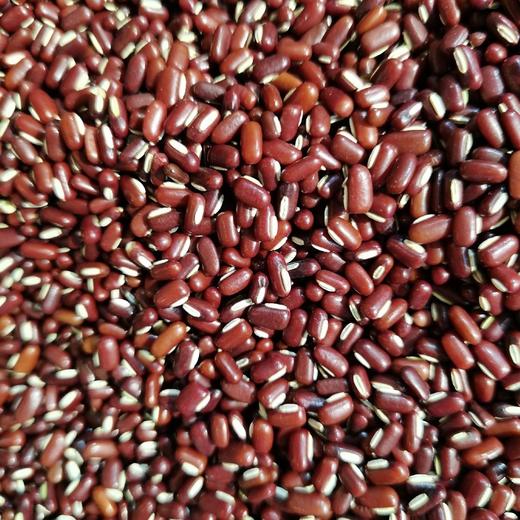 赤小豆 商品图0