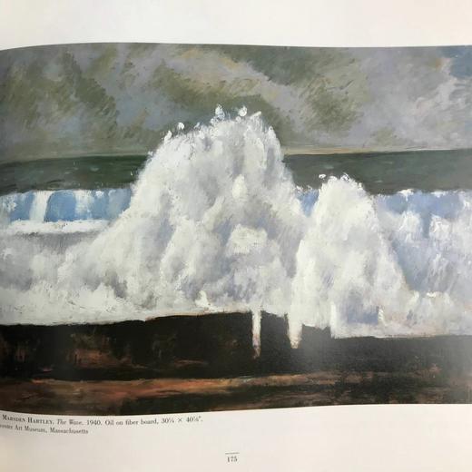 美国海洋绘画图集 186幅插图（84幅彩色） 精装16开 商品图10