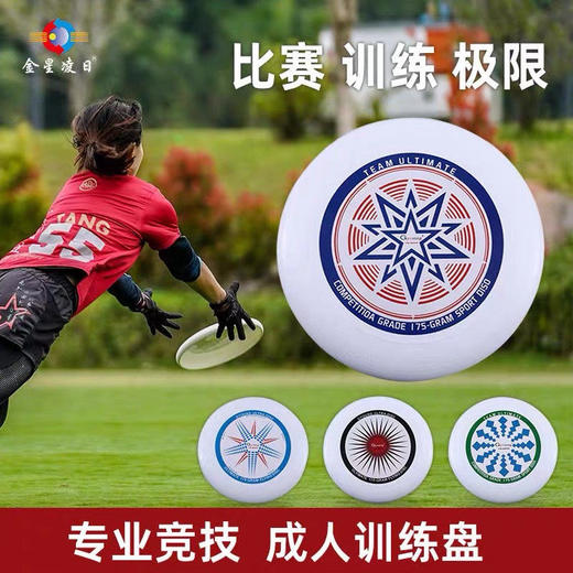飞盘运动户外健身专业成人竞技比赛回旋儿童飞碟 商品图4