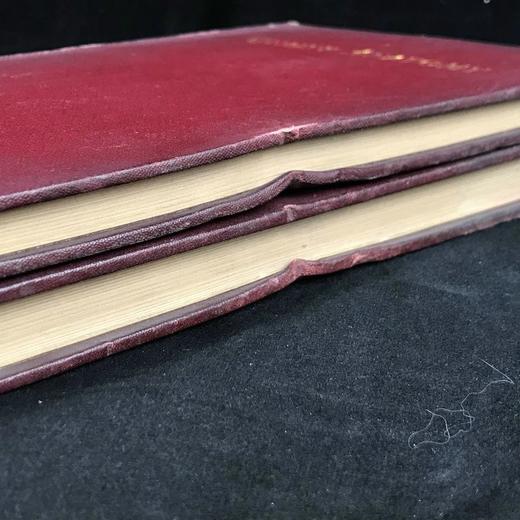 1898年 奎恩解剖学要点（卷1，分2册） 近700幅插图 漆布精装16开 商品图2