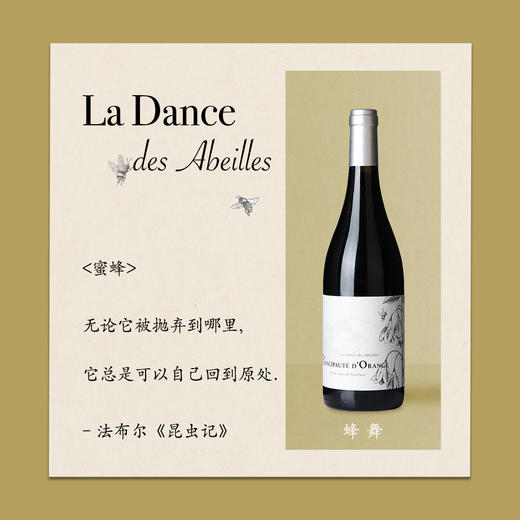 昆虫记蜂舞红葡萄酒（2020） 商品图0