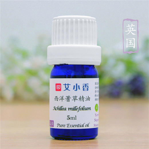 西洋蓍草精油英国产蓝色天蓝烃用途与德国洋甘菊相近