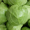 每日现砍  农家种植绿甘蓝   口感脆嫩  新鲜爽口   圆白菜 500g 商品缩略图4