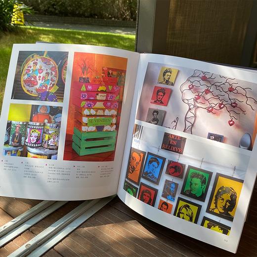 (仓发) 爱上弗里达/上海人民美术出版社/[德]戈比•弗伦格/9787558617157 商品图7