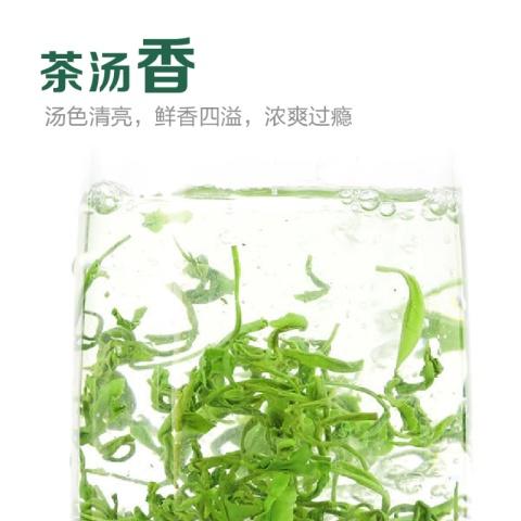 新茶大道至简 • 松阳香茶125克（50包*2.5克） 商品图2
