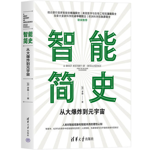 智能简史——从大爆炸到元宇宙 商品图0