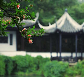 最好的人生，眼里有生活，心中有诗意