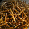 冬虫夏草礼盒装（极草.雪域珍品）（30支小瓶） 商品缩略图6