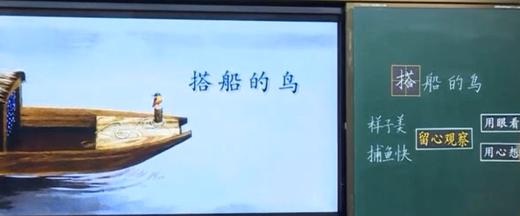 《搭船的鸟》 商品图0