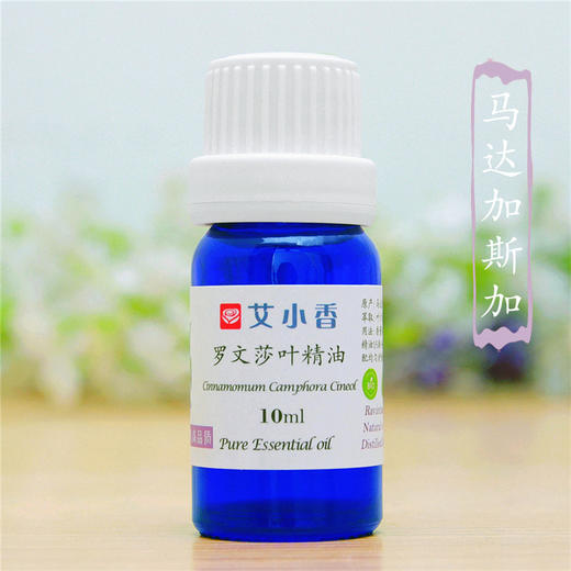 桉油樟罗文莎叶精油洁净顺畅呼吸马达加斯加岛