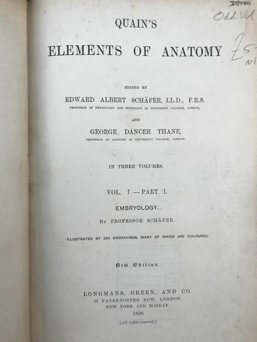 1898年 奎恩解剖学要点（卷1，分2册） 近700幅插图 漆布精装16开 商品图3