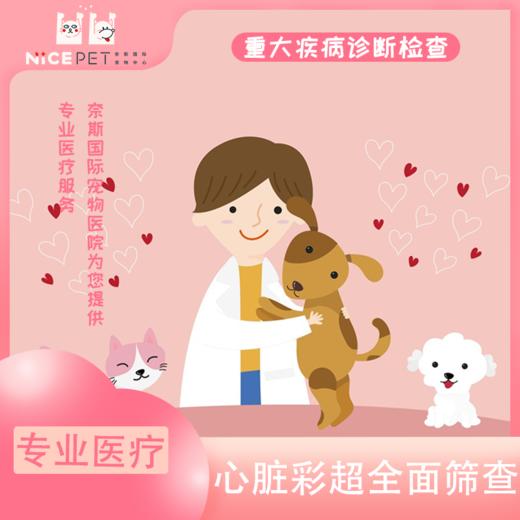 爱宠心脏彩超全面筛查，预防大于治疗 商品图0