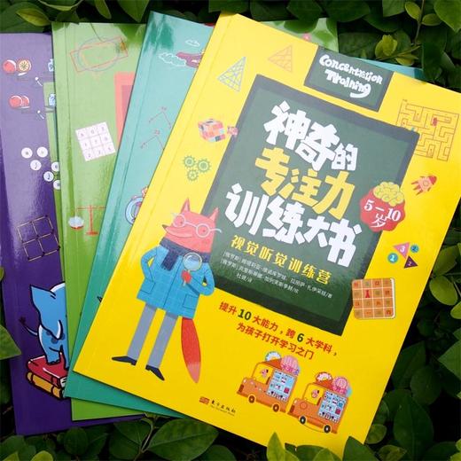 神奇的专注力训练大书（全4册） 商品图13