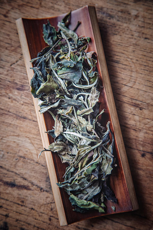 彩农茶·龙藏｜2022头春，布朗核心区古树纯料白茶 商品图5