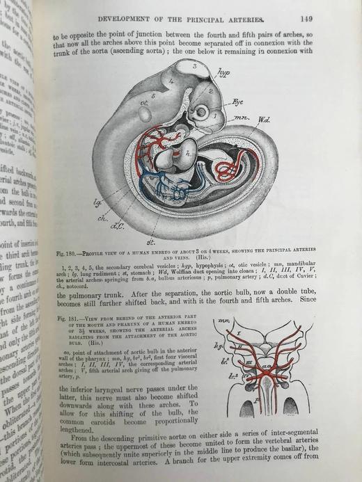 1898年 奎恩解剖学要点（卷1，分2册） 近700幅插图 漆布精装16开 商品图6