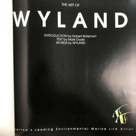 签名本！“北京奥运特使”环保艺术家怀兰作品集 约百余幅插图 精装大16开 商品图4