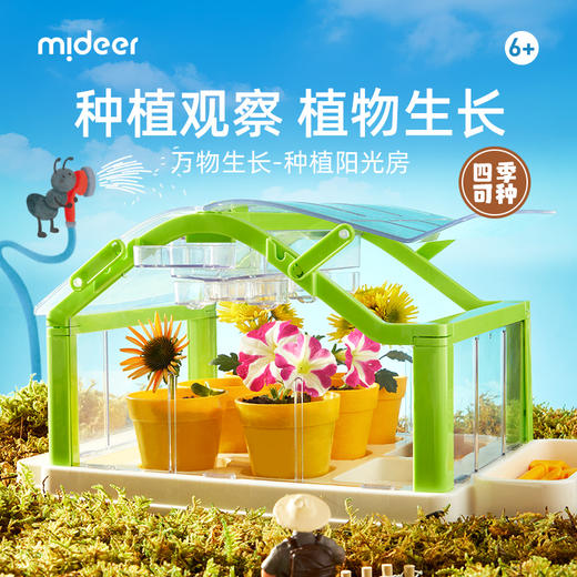 mideer弥鹿阳光房种植花房儿童玩具手工diy科学小实验套装观察盒 商品图0