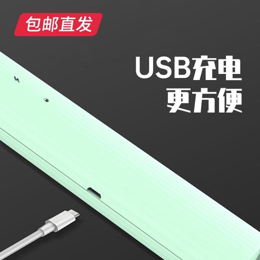 雅格 可壁挂灭蚊灯电蚊拍 充电锂电二合一 YG-D121（包邮直发） 商品图2