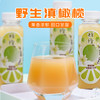褚橙 茉莉花味滇橄榄汁云南油甘果汁原汁饮料245ml*18瓶装 商品缩略图2