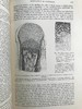 1898年 奎恩解剖学要点（卷1，分2册） 近700幅插图 漆布精装16开 商品缩略图12