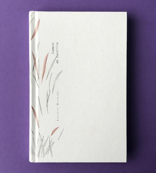 (仓发) 卡斯蒂利亚的田野:马查多诗选/外语教学与研究出版社/[西班牙]安东尼奥·马查多/9787513597173 商品图5