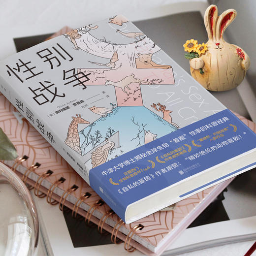 性别战争 商品图2
