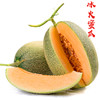 【新疆】冰火蜜瓜西州蜜 哈密瓜 商品缩略图4