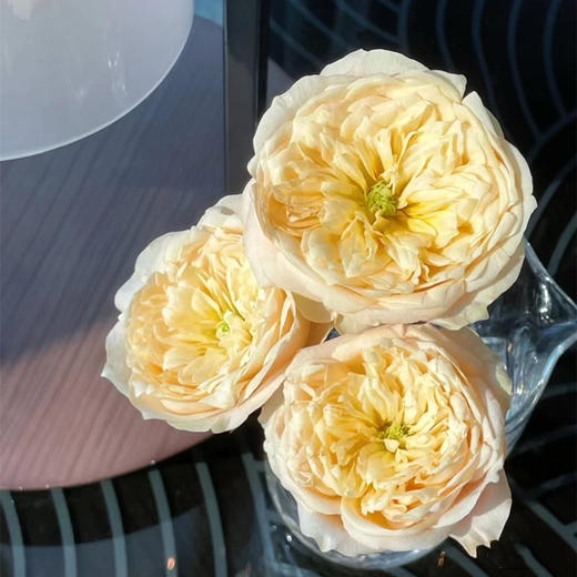 同城甄选玫瑰 黄蝴蝶10支单头 商品图1