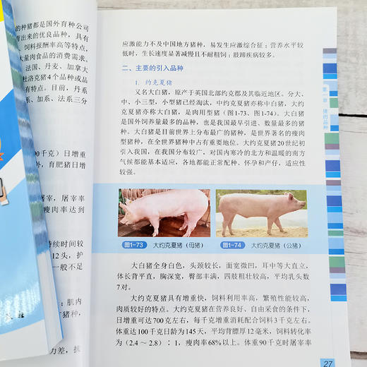 彩色图解科学养猪与猪病防治 商品图12