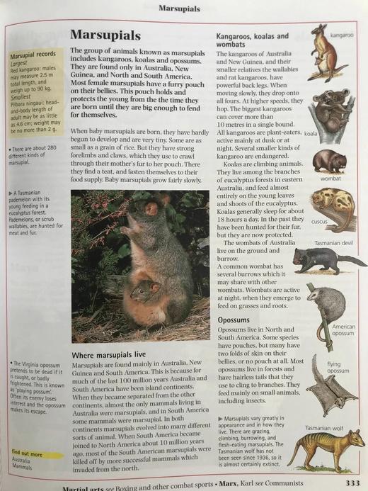 牛津插图百科全书 约千幅彩色插图 精装16开 商品图5