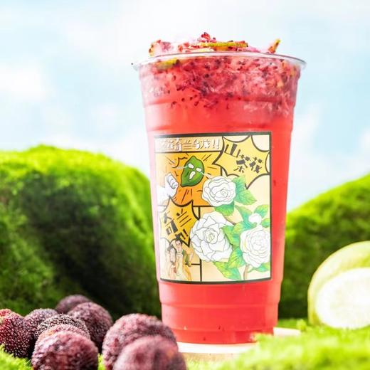 满杯杨梅山茶花 商品图0